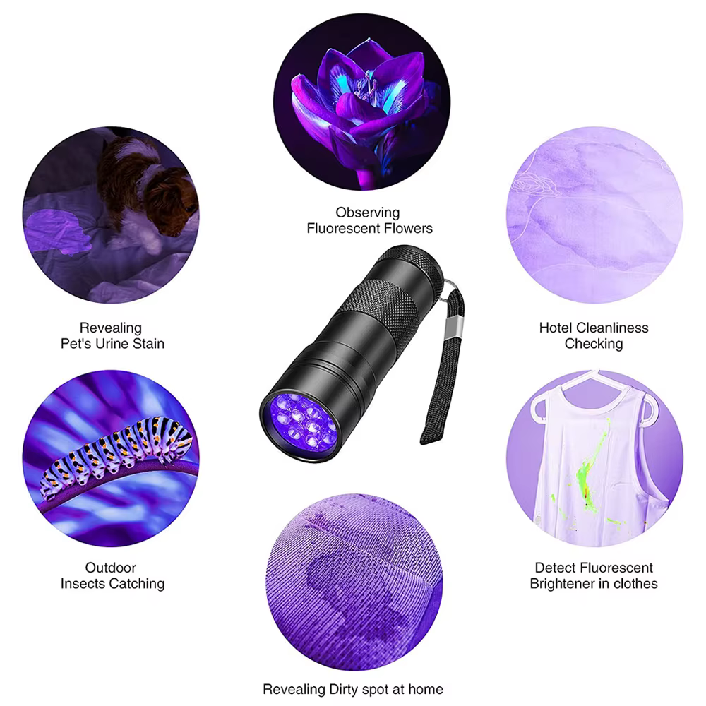 Lampes de poche UV portables étanches à lumière noire, 12 Led, 395nm, Mini détecteur de torche pour 