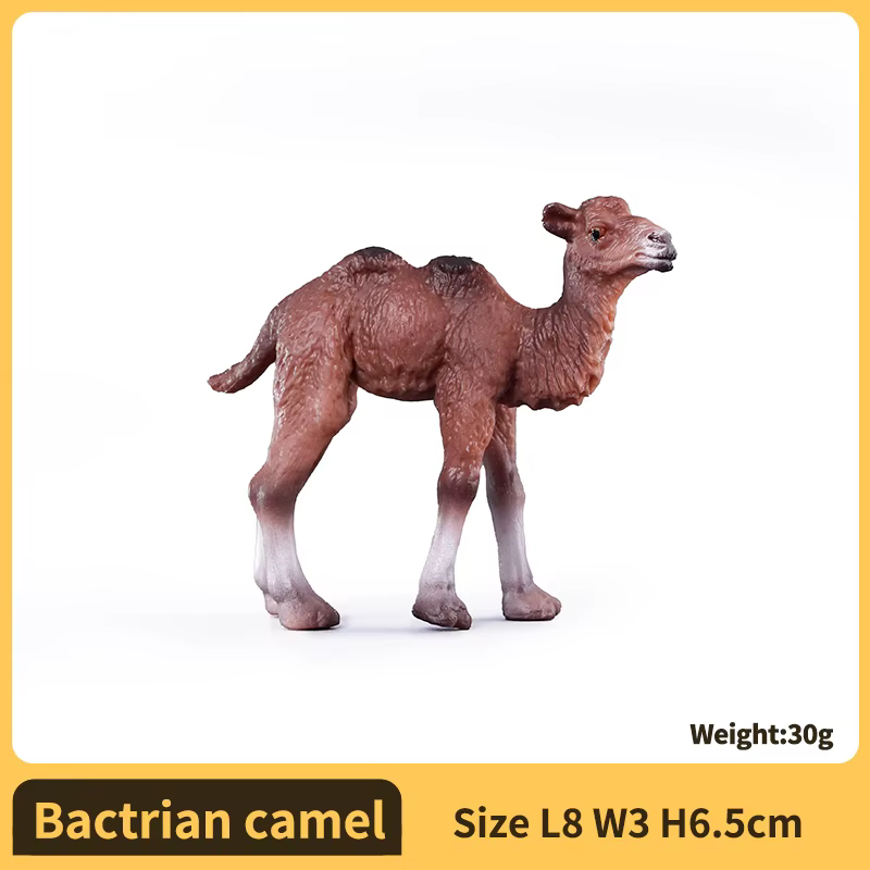 Figurine d'action camel réaliste, modèle de faune réaliste avec Collection Safari dans le désert pou