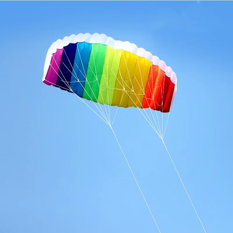 Nouveau cerf-volant de kitesurf parafoil à double ligne pour adultes, cerf-volant de freestyle, cerf