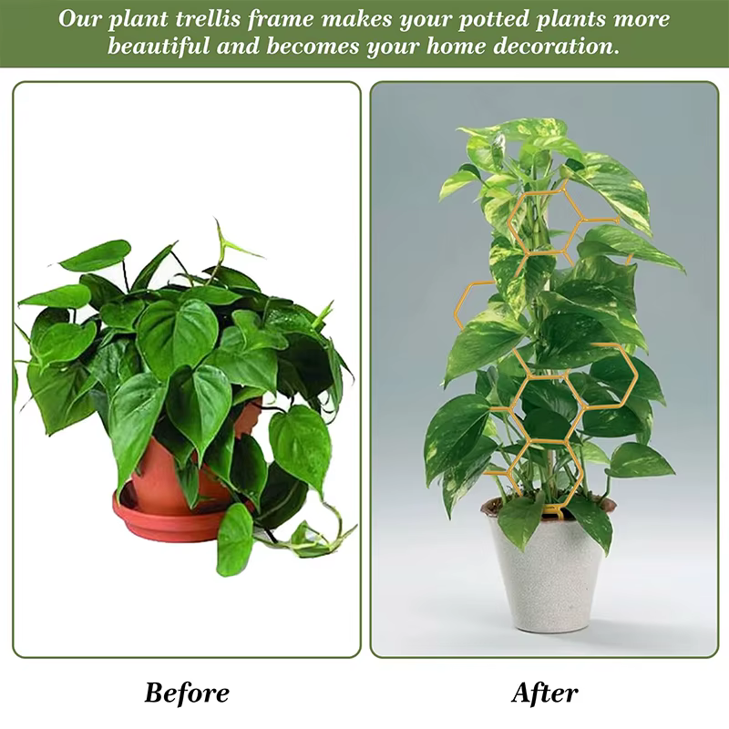 Support pour plantes, accessoires de jardin d'intérieur, Support en treillis de serre pour plantes, outils de bonsaï, fournitures de croissance, Gadgets de jardinage
