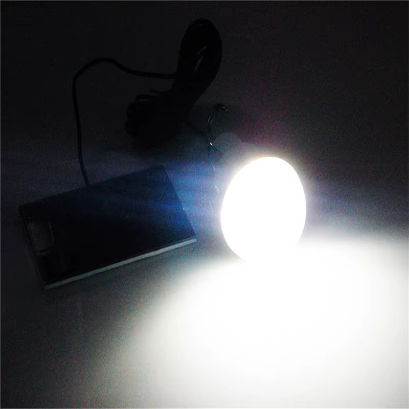 Ampoule LED solaire portable