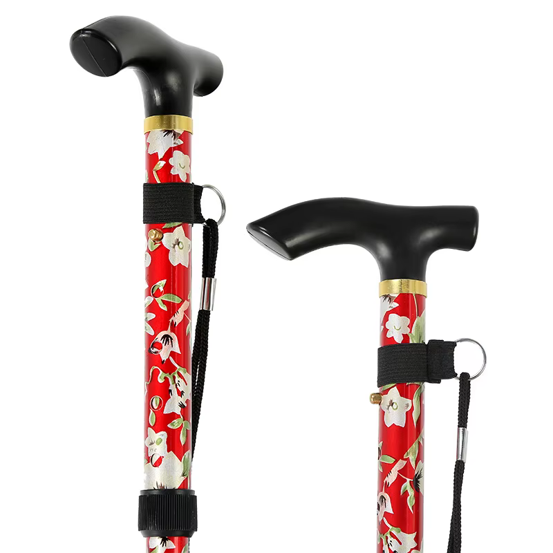 Bâton de Trekking télescopique canne de marche bâtons de randonnée fidélisés