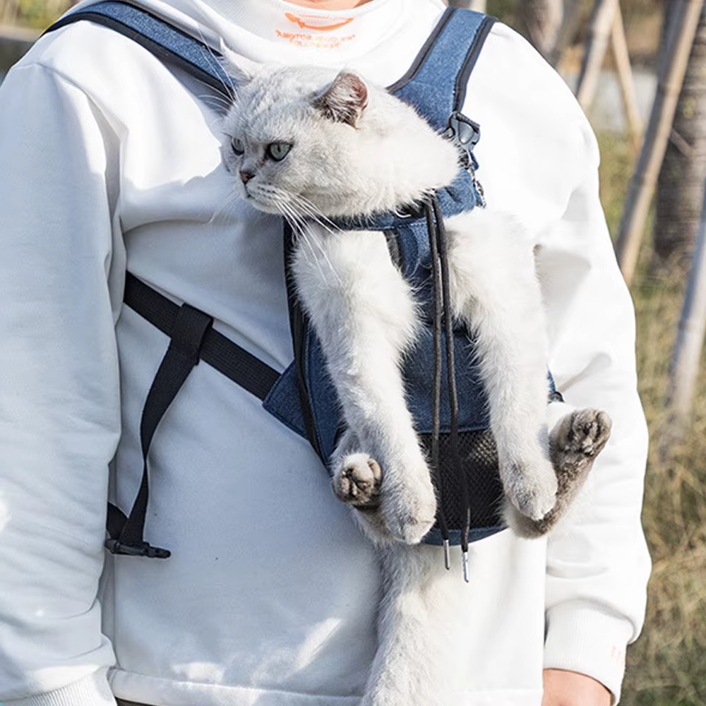 Sac à dos de transport pour chien et chat