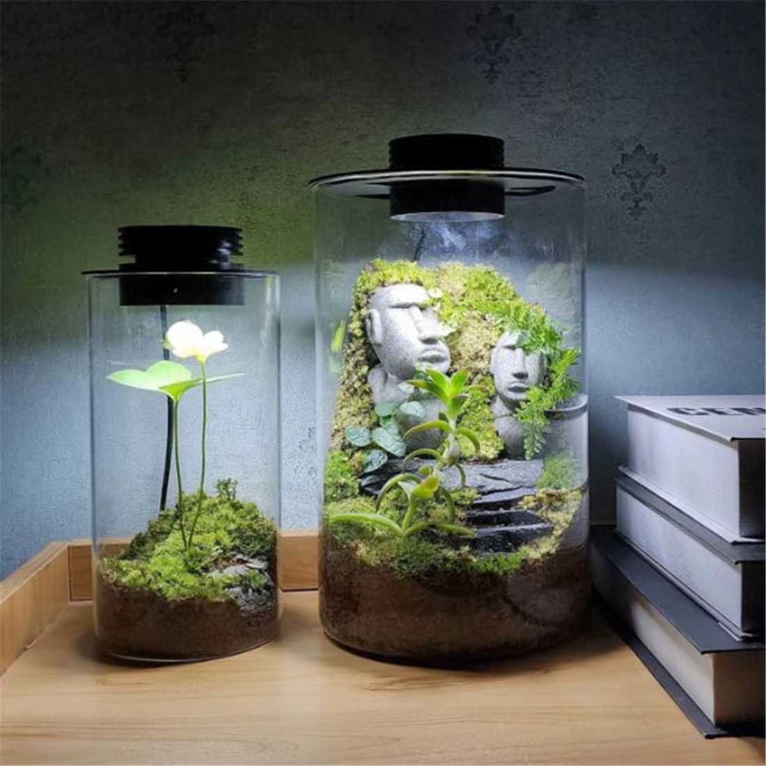 Lampe de culture de plantes Terrarium USB à intensité variable avec minuterie pour Vases, croissance des plantes d'intérieur, paysage de jardinage succulent et Miniature