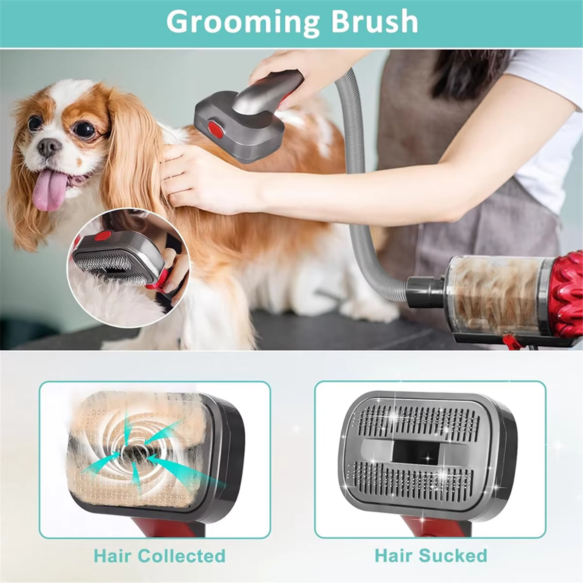Kit de toilettage pour chien de compagnie
