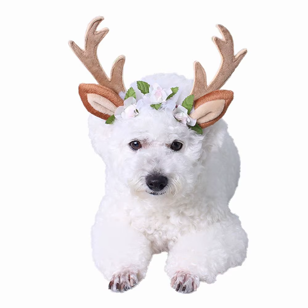 Déguisement de fête pour animaux de compagnie, tenues de noël, accessoires pour chats, accessoires de toilettage, couvre-chef pour chien, Costume de chapeau de noël