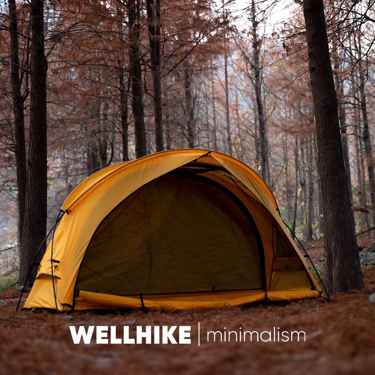 Tente 4 saisons WELLHIKE Outdoor Cloud Trek – Légère et portable pour la randonnée