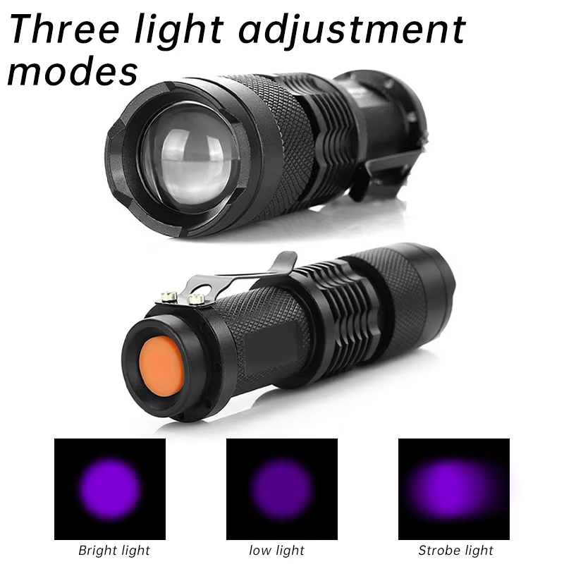 Lampe de poche UV LED Portable