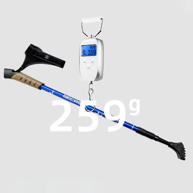2 pièces bâtons de marche nordiques Trek pôle télescopique Alpenstock 7075 alliage d'aluminium béquille de tir