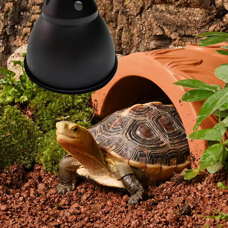 Lampe thermique pour reptiles à dôme profond, réflecteur de lumière UVB, abat-jour en dôme, système d'éclairage pour Terrarium avec réflexion optique