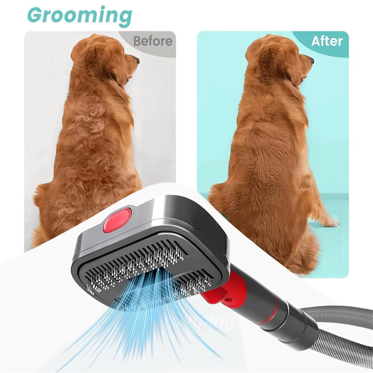 Kit de toilettage pour chien de compagnie