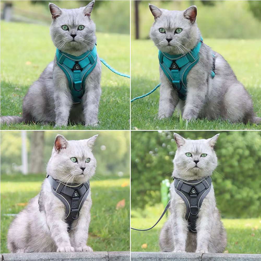 Ensemble harnais et laisse, accessoires pour animaux de compagnie, harnais pour petit chien, bouledogue français, carlin, Pitbull, chiot, collier pectoral, fournitures pour Chiens