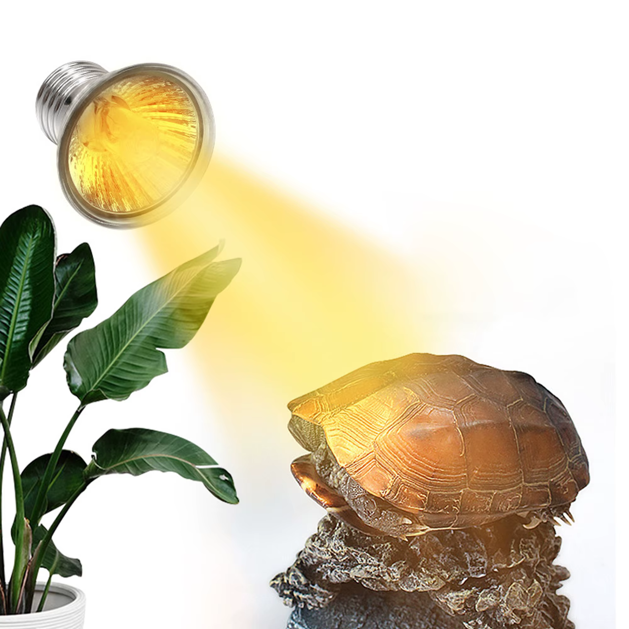 25/50/75W UVA + UVB 3.0 lampe pour Reptile ampoule tortue se prélasser UV ampoules lampe chauffante amphibiens lézards régulateur de température 1Pc