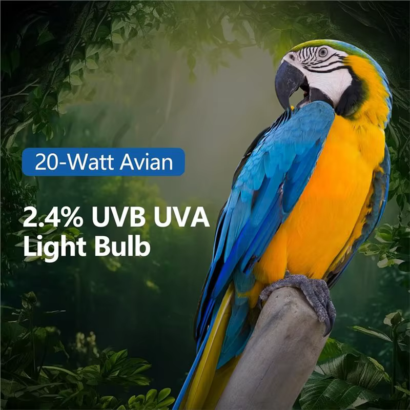 【Dernier CHANCE】 pour les oiseaux 2.4 UVB 20W lampe fluorescente compacte UVA UVB ampoule pour tous les types captifs