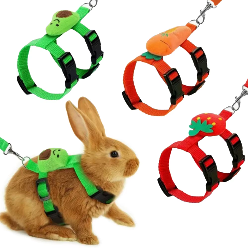 Ensemble harnais et laisse pour chat lapin, laisse réglable pour animaux de compagnie, pour petits animaux, furets, cochon, hérissons, marche en plein air