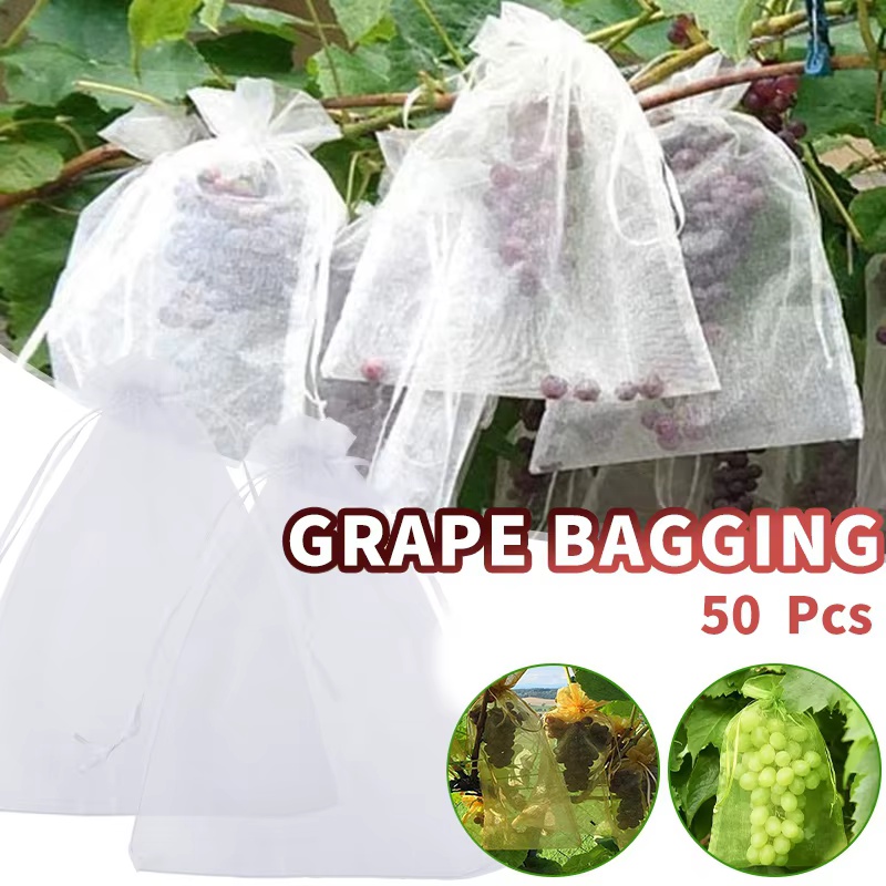 Sacs de protection pour fruits