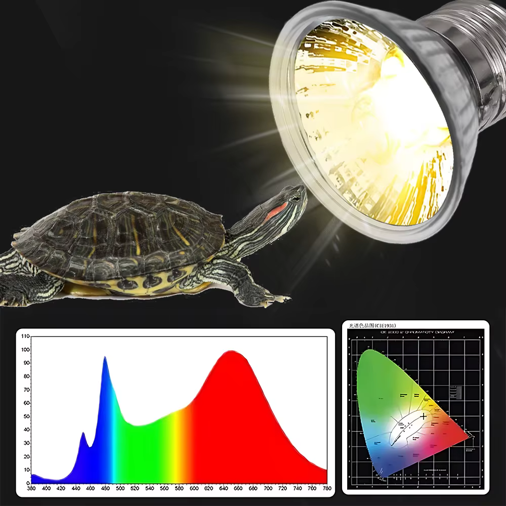 Lampe chauffante pour reptile, ampoule non remboursable, tortue se prélasser, favorise la croissance des animaux de compagnie, lampe solaire pour amphibiens, haute qualité, 25 W, 50 W, 75W, 5 pièces,