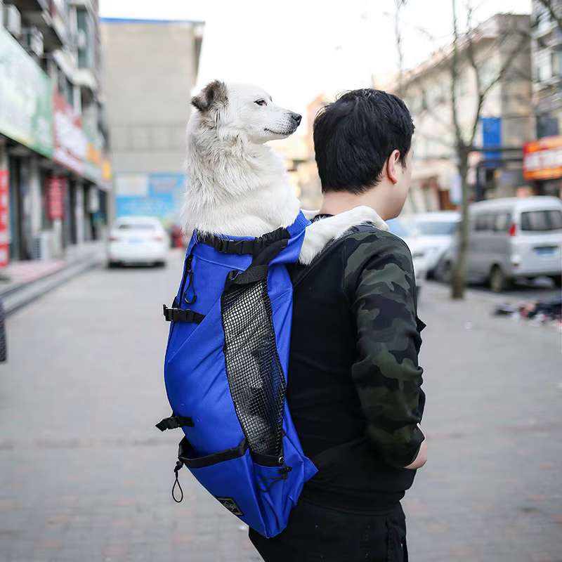 Sac à dos de transport pour chien en nylon robuste pour chiens de petite et moyenne taille