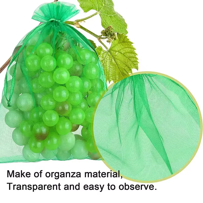 Sacs de protection des fruits