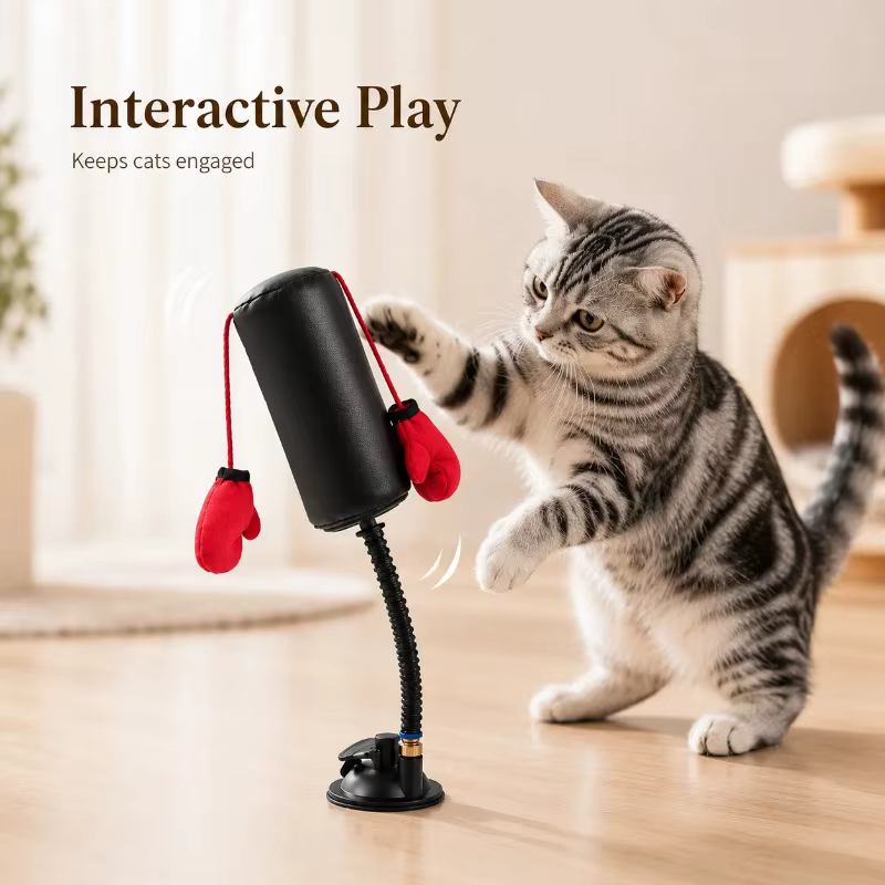Jouet de boxe interactif pour chat avec gants, mini-sac de frappe créatif, outil de dressage portable pour animaux de compagnie, idéal pour la maison et la réduction du stress