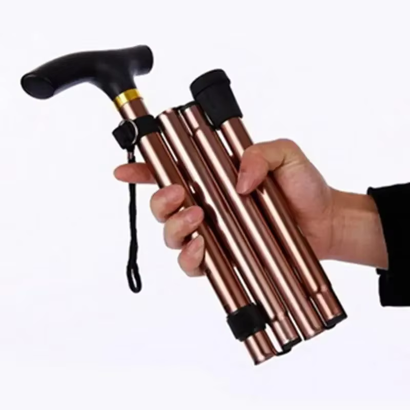 Bâton de marche multifonctionnel