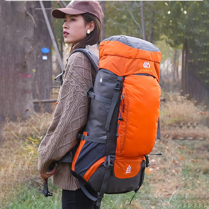 65L sac à dos d'escalade grande capacité Camping en plein air sport femmes hommes étanche voyage Nature randonnée alpinisme Trekking sac