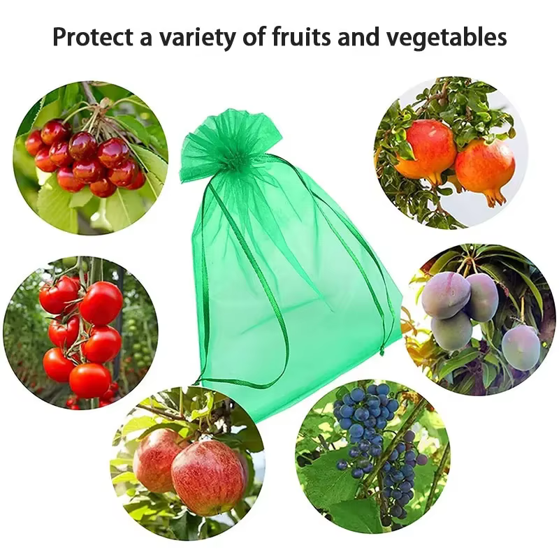 Sacs de protection des fruits