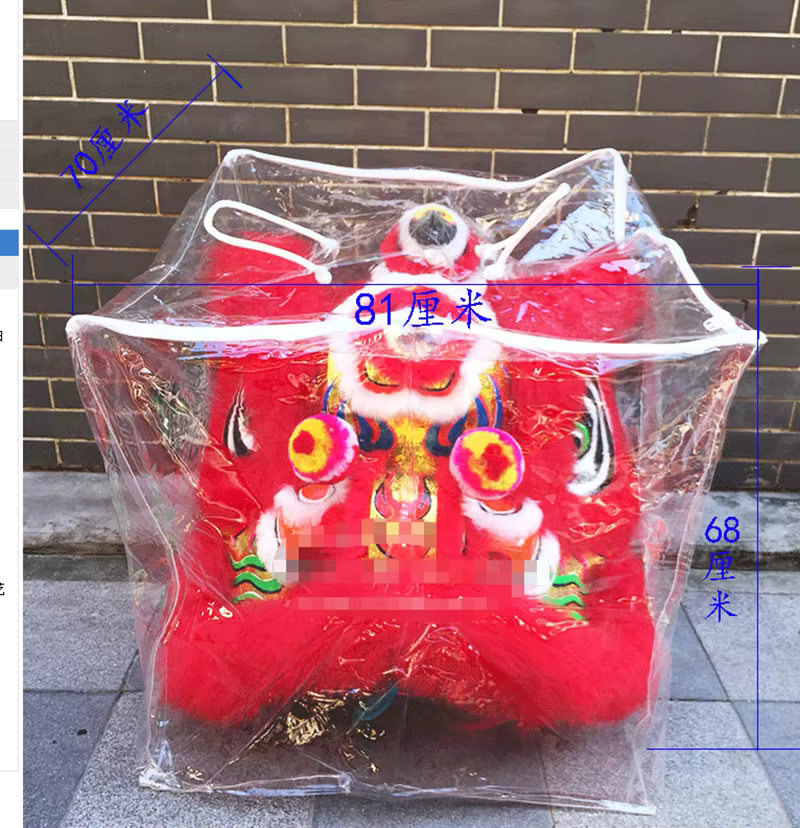 Sacs de rangement pour sac de protection de danse du Lion du sud pour tête