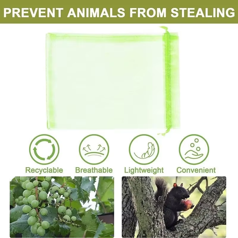 Sacs de Protection des fruits 50/100