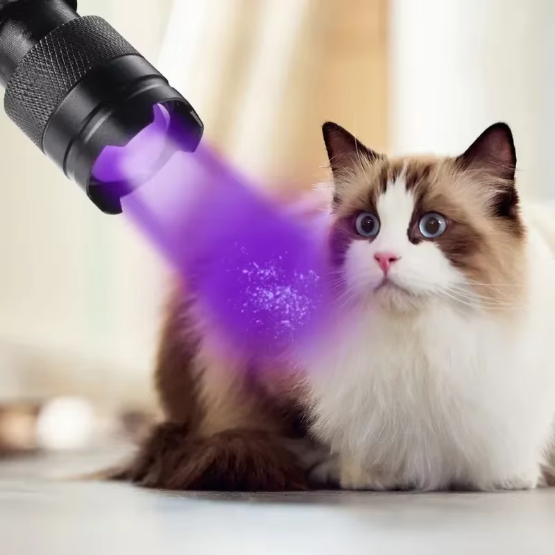 Lampe de poche UV LED Portable