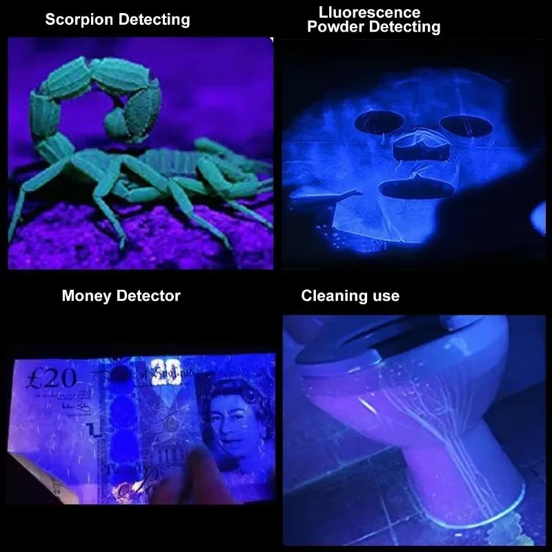 Lampe de poche UV LED Portable
