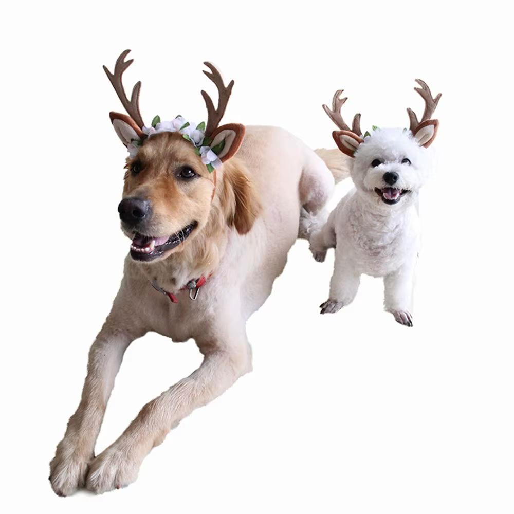 Déguisement de fête pour animaux de compagnie, tenues de noël, accessoires pour chats, accessoires de toilettage, couvre-chef pour chien, Costume de chapeau de noël